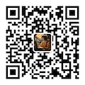 Zeaon WeChat QR code